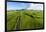 Aerial photograph of pasture land near Waimea, Big Island, Hawaii-Mark A Johnson-Framed Photographic Print