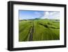 Aerial photograph of pasture land near Waimea, Big Island, Hawaii-Mark A Johnson-Framed Photographic Print