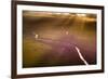 Aerial photograph of the Noosa River, Great Sandy National Park, Australia-Mark A Johnson-Framed Photographic Print