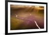 Aerial photograph of the Noosa River, Great Sandy National Park, Australia-Mark A Johnson-Framed Photographic Print