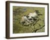 Aerial Photograph of the Okavango Delta-Nigel Pavitt-Framed Photographic Print