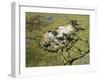 Aerial Photograph of the Okavango Delta-Nigel Pavitt-Framed Photographic Print