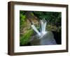 Aerial photograph of Wailua Falls, Kauai, Hawaii, USA-Mark A Johnson-Framed Photographic Print