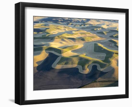 Aerial Photography at Harvest Time in the Palouse Region of Eastern Washington-Julie Eggers-Framed Premium Photographic Print