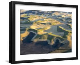 Aerial Photography at Harvest Time in the Palouse Region of Eastern Washington-Julie Eggers-Framed Photographic Print