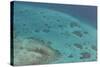 Aerial Photography of Coral Reef Formations of the Great Barrier Reef-Louise Murray-Stretched Canvas