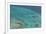 Aerial Photography of Coral Reef Formations of the Great Barrier Reef-Louise Murray-Framed Photographic Print