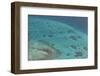 Aerial Photography of Coral Reef Formations of the Great Barrier Reef-Louise Murray-Framed Photographic Print