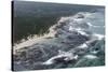 Aerial Photography of Ocean and Kelp Beds at Walker Bay-Louise Murray-Stretched Canvas