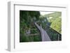 Aerial Road in Canyon-ggaallaa-Framed Photographic Print