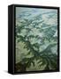 Aerial Roper River Delta-null-Framed Stretched Canvas