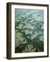 Aerial Roper River Delta-null-Framed Photographic Print