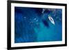 Aerial Shot of Beautiful Blue Lagoon at Hot Summer Day with Sailing Boat. Top View of People are Sw-dusanpetkovic-Framed Photographic Print