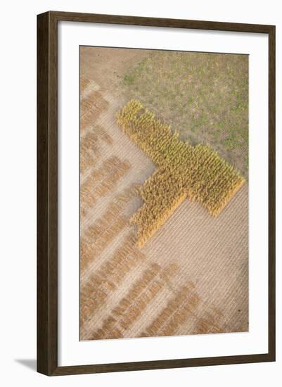 Aerial Shot of Field at Bagan, Myanmar-Harry Marx-Framed Photographic Print