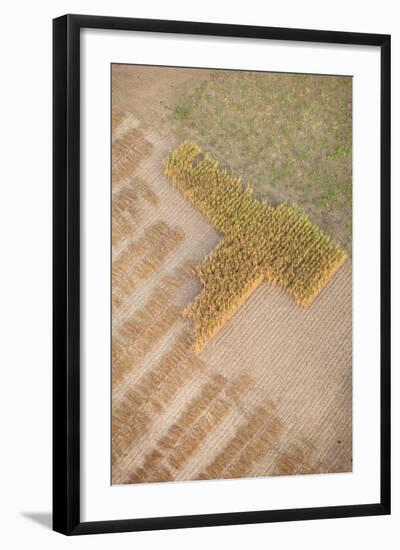 Aerial Shot of Field at Bagan, Myanmar-Harry Marx-Framed Photographic Print