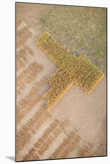 Aerial Shot of Field at Bagan, Myanmar-Harry Marx-Mounted Photographic Print