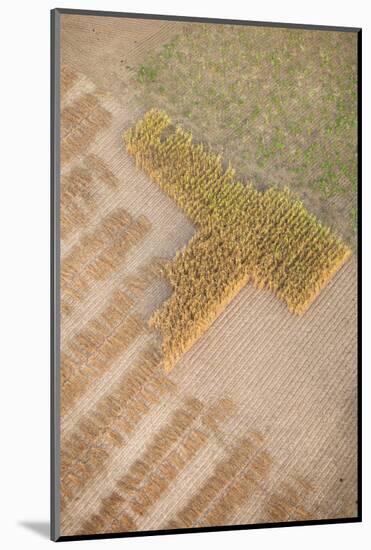 Aerial Shot of Field at Bagan, Myanmar-Harry Marx-Mounted Photographic Print