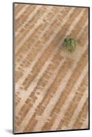 Aerial Shot of Field at Bagan, Myanmar-Harry Marx-Mounted Photographic Print