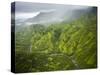 Aerial Shots of the Kauai Island in Hawaii-Sergio Ballivian-Stretched Canvas