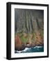 Aerial Shots of the Kauai Island in Hawaii-Sergio Ballivian-Framed Photographic Print