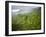 Aerial Shots of the Kauai Island in Hawaii-Sergio Ballivian-Framed Photographic Print