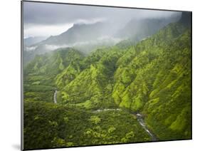 Aerial Shots of the Kauai Island in Hawaii-Sergio Ballivian-Mounted Photographic Print