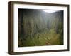 Aerial Shots of the Kauai Island in Hawaii-Sergio Ballivian-Framed Photographic Print