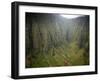 Aerial Shots of the Kauai Island in Hawaii-Sergio Ballivian-Framed Photographic Print