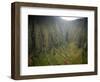 Aerial Shots of the Kauai Island in Hawaii-Sergio Ballivian-Framed Photographic Print