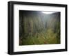 Aerial Shots of the Kauai Island in Hawaii-Sergio Ballivian-Framed Photographic Print