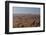 Aerial, Skeleton Coast Park, Namibia, Africa-Thorsten Milse-Framed Photographic Print
