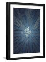 Aerial Snow Tree-Tian Qi-Framed Premium Photographic Print