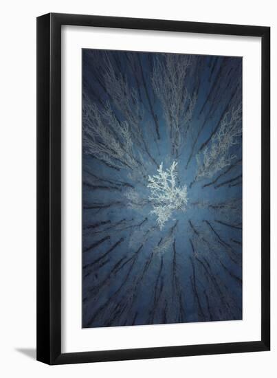 Aerial Snow Tree-Tian Qi-Framed Photographic Print