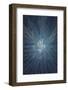 Aerial Snow Tree-Tian Qi-Framed Photographic Print