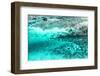 Aerial Summer - Aqua Coral Reef-Philippe HUGONNARD-Framed Photographic Print