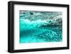 Aerial Summer - Aqua Coral Reef-Philippe HUGONNARD-Framed Photographic Print