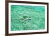 Aerial Summer - Aquamarine Jukung-Philippe HUGONNARD-Framed Photographic Print