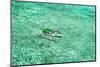 Aerial Summer - Aquamarine Jukung-Philippe HUGONNARD-Mounted Photographic Print