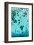 Aerial Summer - Babyblue-Philippe HUGONNARD-Framed Photographic Print