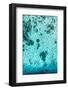 Aerial Summer - Babyblue-Philippe HUGONNARD-Framed Photographic Print