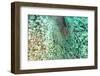 Aerial Summer - Between Two Coral Reefs-Philippe HUGONNARD-Framed Photographic Print