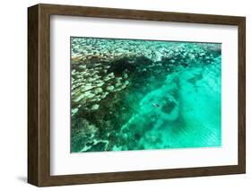 Aerial Summer - Seagreen Coral Reef-Philippe HUGONNARD-Framed Photographic Print