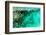 Aerial Summer - Seagreen Coral Reef-Philippe HUGONNARD-Framed Photographic Print