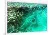 Aerial Summer - Seagreen Coral Reef-Philippe HUGONNARD-Framed Photographic Print