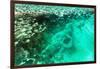 Aerial Summer - Seagreen Coral Reef-Philippe HUGONNARD-Framed Photographic Print