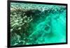 Aerial Summer - Seagreen Coral Reef-Philippe HUGONNARD-Framed Photographic Print