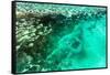 Aerial Summer - Seagreen Coral Reef-Philippe HUGONNARD-Framed Stretched Canvas
