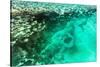 Aerial Summer - Seagreen Coral Reef-Philippe HUGONNARD-Stretched Canvas