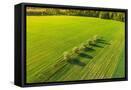 Canvas Black