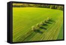 Canvas Black